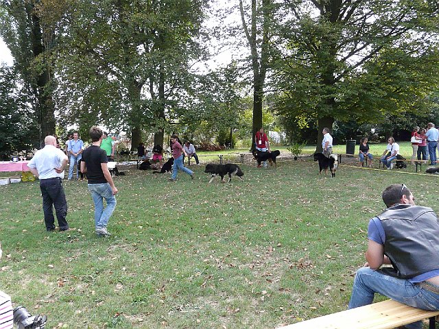 img 131.jpg